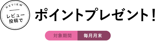レビュー投稿でポイントプレゼント!